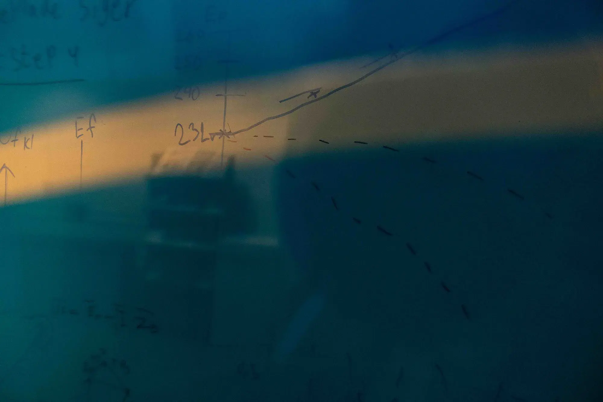 Picture of the author