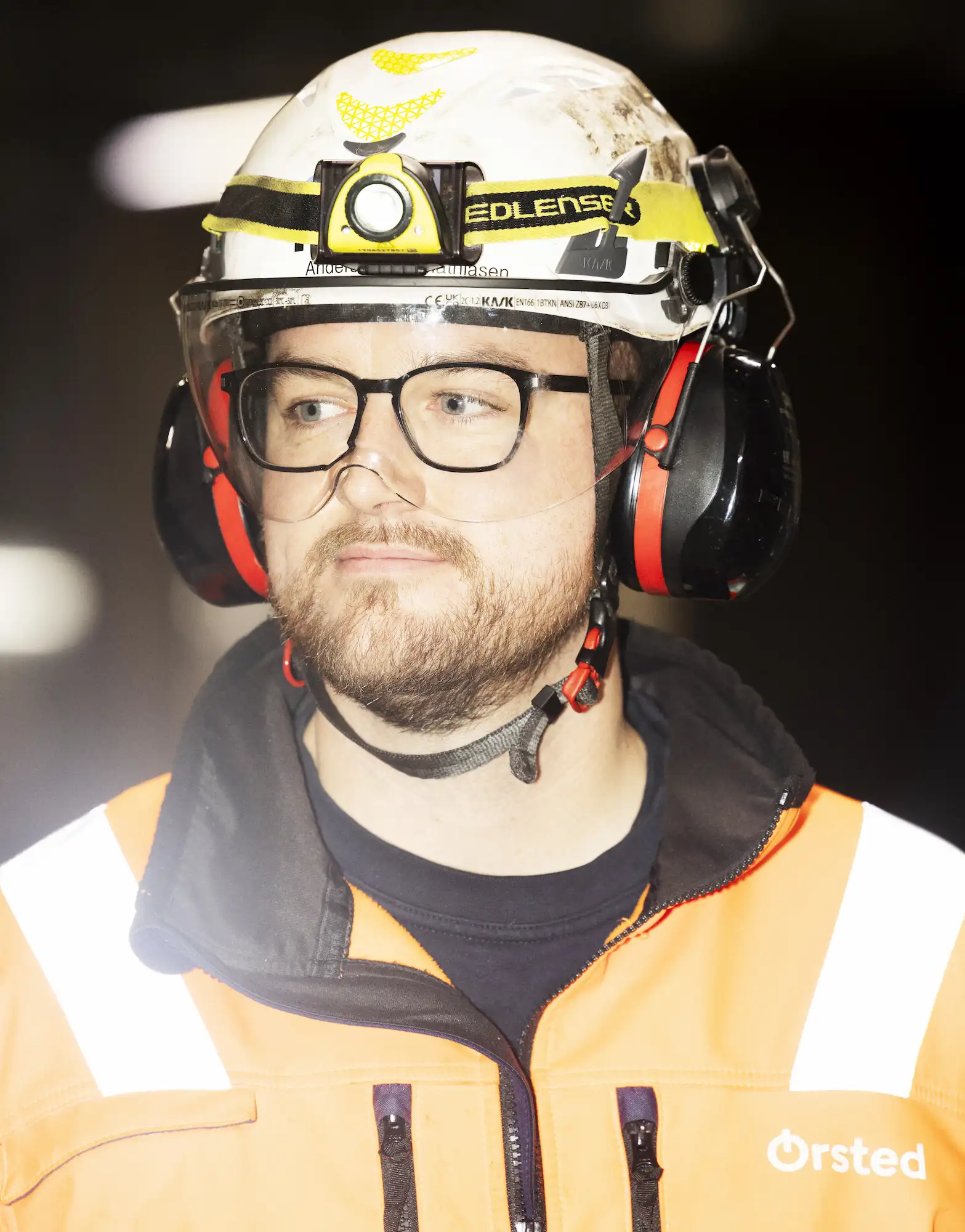 Picture of the author